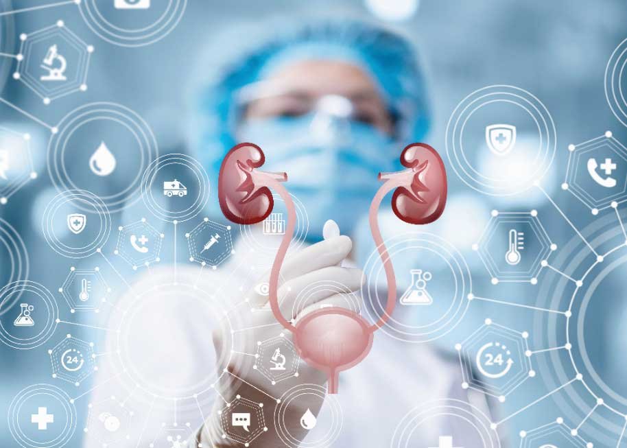 bladder and bowel incontinence assessment and management